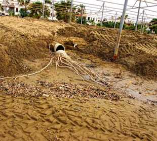 Vom Strand aus gesehen