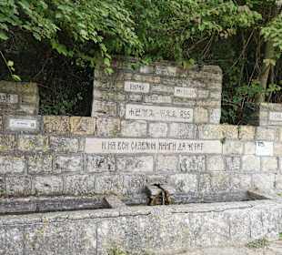 Stadtrundgang Goldstrand