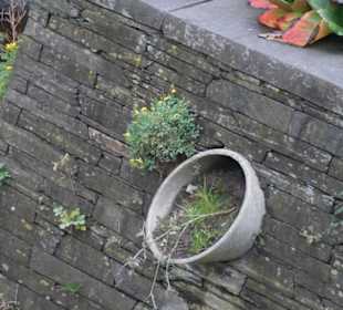 Parkanlage Planten un Blomen