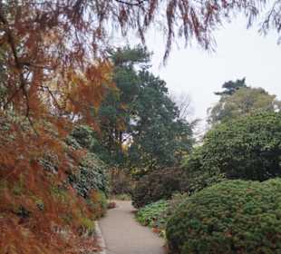 Parkanlage Planten un Blomen