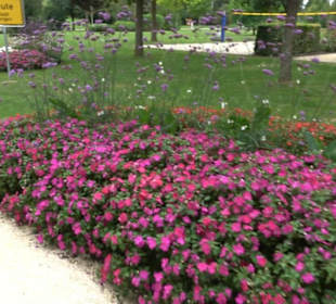 Blühendes Neresheim