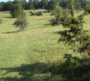 Premiumwanderweg "hochgesprudelt"
