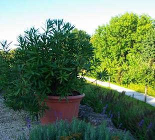 Grünbepflanzungen Ort Gstadt