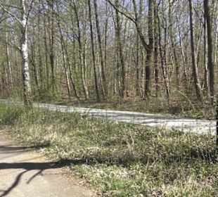 Sport- und Freizeitpark Markwasen