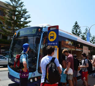 Bushaltestelle am Coogee Beach
