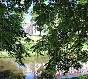 Eindrücke im Schlosspark