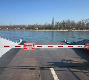 Die Rheinfähre Leimersheim