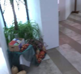 Pfarrkirche Sankt Martinus Weitingen im Gäu