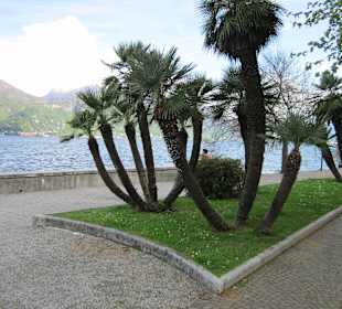Menaggio