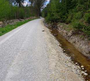 Fusweg in Sebalder Forst