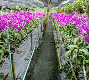 Gänge innerhalb der Anlage