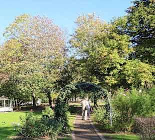 Rosenbogen im Kurpark