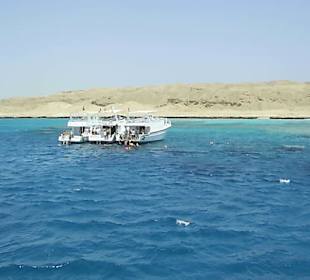 Giftun Insel 1. Schnorch.