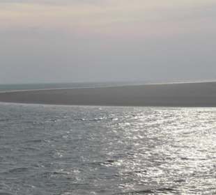 Seehundbank Tegeler Plate