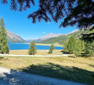 Blick auf den Silsersee 