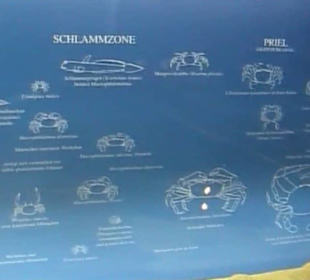 Naturhistorisches Museum