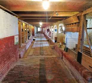 In den Stallungen des Landwirtschaftsmuseums