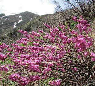 Wandern Frantschach-Sankt Gertraud