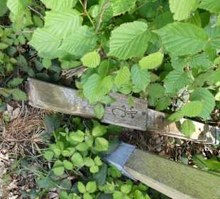 Wo geht der Weg lang ???