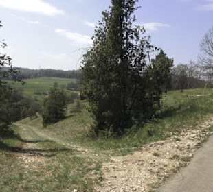 Waldlehrpfad an der Lauter