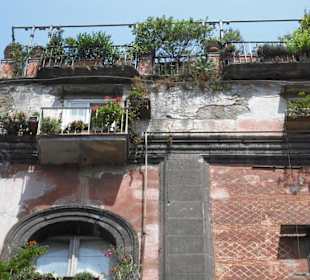 "Grüne Oase" in Neapel