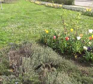 Bürgerpark Offenburg