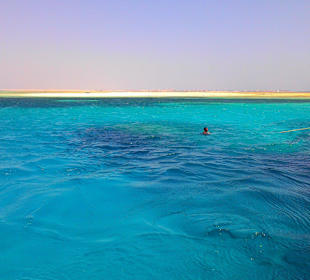 Экскурсия на остров Утопия