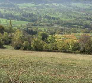 Premiumwanderweg hochgehkeltert Neuffen