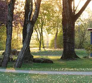 Kurpark Bad Birnbach