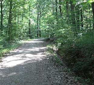 Rundwanderung Klingenbachtal - Sulzbachsee