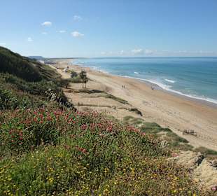 Blick auf d. Strand von Conil