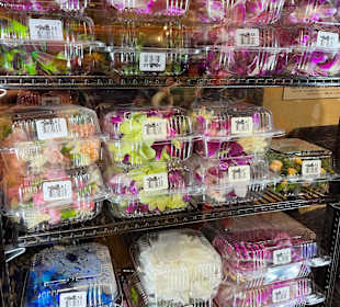 Stadtbesichtigung Honolulu