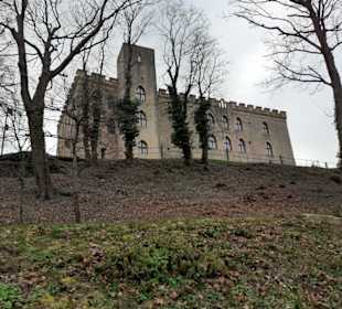 Schloss Hambach
