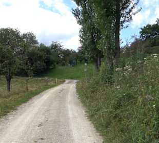 Hochgehnießen - Premiumspazierwanderweg