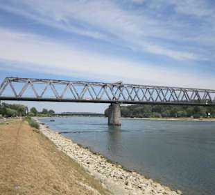 Am Rhein in Germersheim