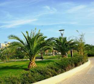 Inspirationen an d.Strandprom.entlang Nov.2010