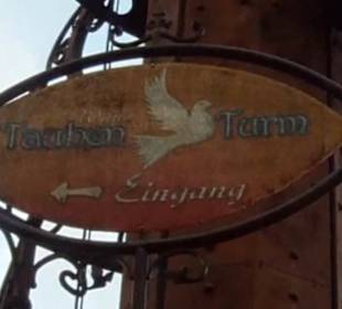 Fantasy - Der lustige Papagei