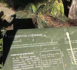 Real Jardín Botánico de Madrid