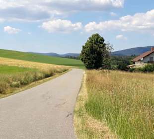 Entlang des Engelwegs