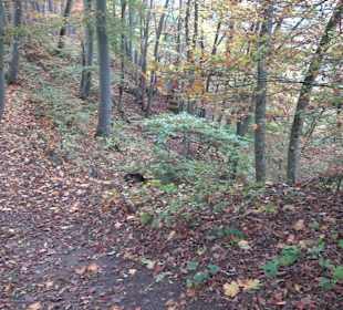 Wandern Rauberweide