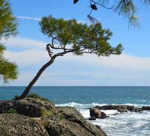 An der Spitze der Halbinsel Phaselis