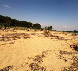 Freier Strandbereich