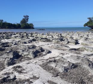 Pongwe Strand
