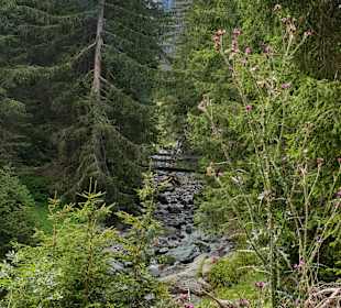 Wandern Saalbach-Hinterglemm