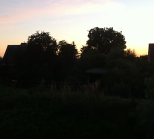 Ausblick vom Zimmer Fachwerkhaus