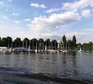 Alster Rundfahrt