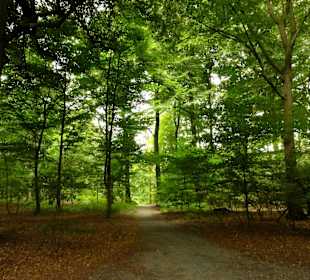 Impressionen aus Pellens Park