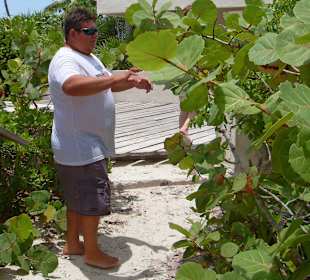 Guide erklärt Pflanzen (Maya-Medizin)