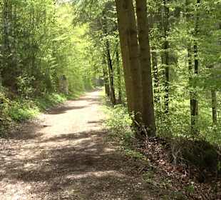 Kreuzweg - Stationenweg