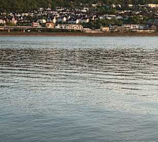 Wandern Rüdesheim am Rhein